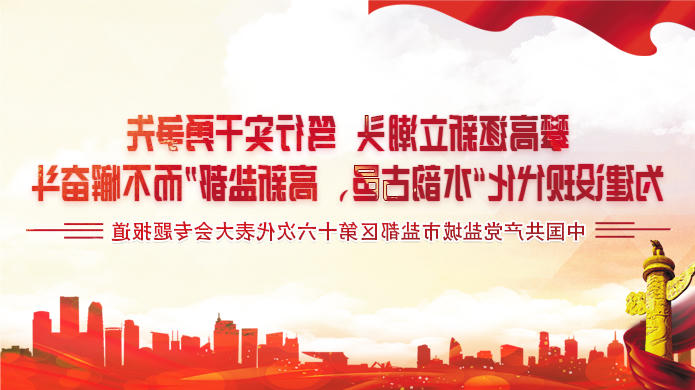 中国共产党盐城市盐都区第十六次代表大会专题