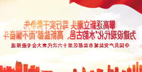 中国共产党盐城市盐都区第十六次代表大会专题