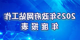 2025年政府网站工作年度报表